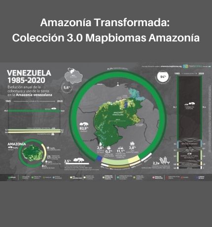 La Amazonía perdió 74,6 millones de hectáreas de cobertura vegetal en 36 años