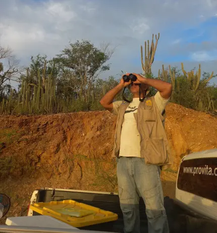 Provita explora poblaciones de cotorra cabeciamarilla en tierra firme